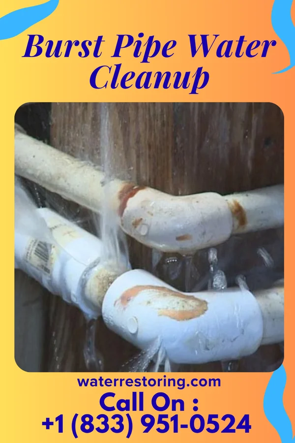Burst Pipe Water Cleanup in De Witt, MO