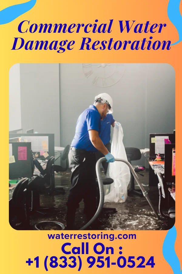 Commercial Water Damage Restoration in De Witt, MO