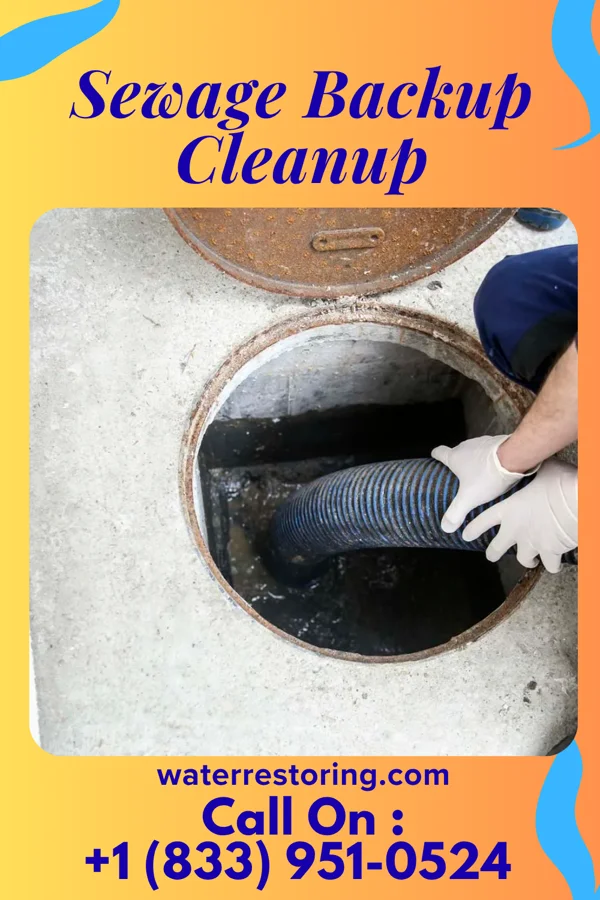 Sewage Backup Cleanup in De Witt, MO