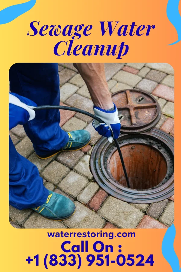 Sewage Water Cleanup in De Witt, MO